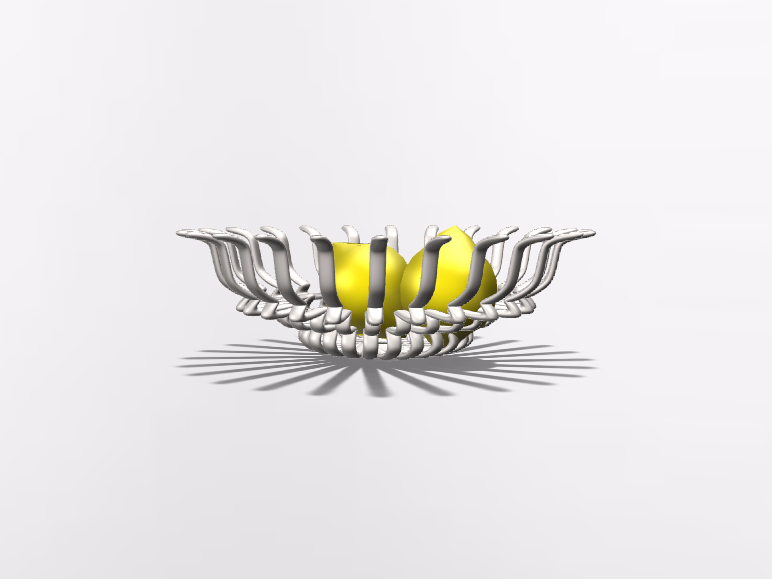 fruit bowl+video - 3D design by Mirka Biel Aug 7, 2016 fruit bowl+video - 3D design by Mirka Biel Aug 7, 2016
